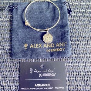 Alex and Ani Aquarius charm bangle.